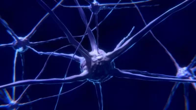 Jak dbać o układ nerwowy i mózg?